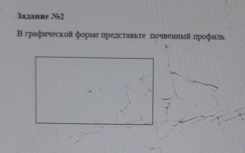 Задание No2В графической форме представьте почвенный профиль это сор ​