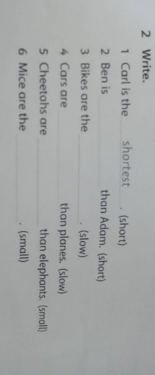 Ben is ___ than Adam.(short) Bikes are the ___.(slow)Cars are __ than planes. (slow)Cheetahs are ___