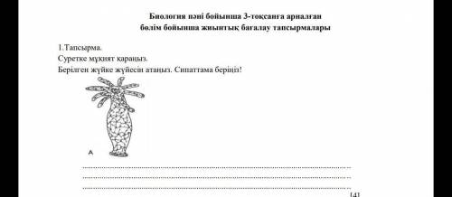 1. ТапсырмаСуретке мұқият қараңыз.Берілген жүйке жүйесін атаңыз. Сипаттама беріңіз!​