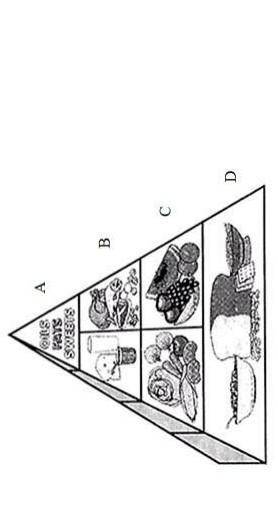 . На рисунке показана пирамида полноценного питания организма. А В ряду С, назовите продукты и вещес