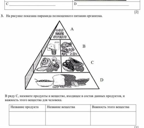 на рисунке показаны пирамида полноценного питания организмов ABCD в ряду C Назовите продукты и вещес