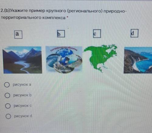 2.(b)Укажите пример крупного (регионального) природно-bannтерриториального комплекса​