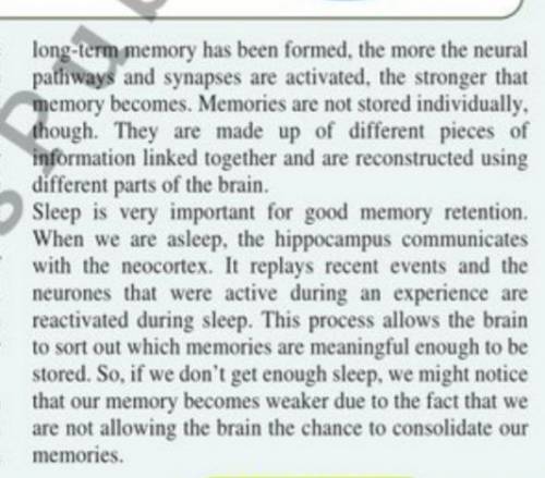 cortex, facts, memories, synapses, retention, memory. 1)pre-frontal... 2)short/long-term... 3)memory