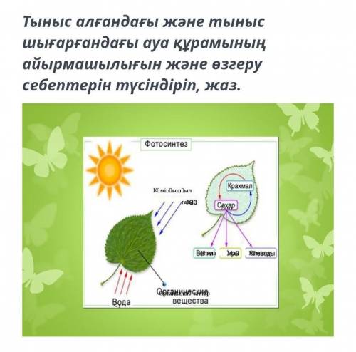 халява халява халява халява халява халява халява халява халява халява халява халява халява халява ха