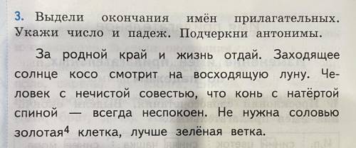 3. Выдели окончания имён прилагательных. Укажи число и падеж. Подчеркни антонимы.