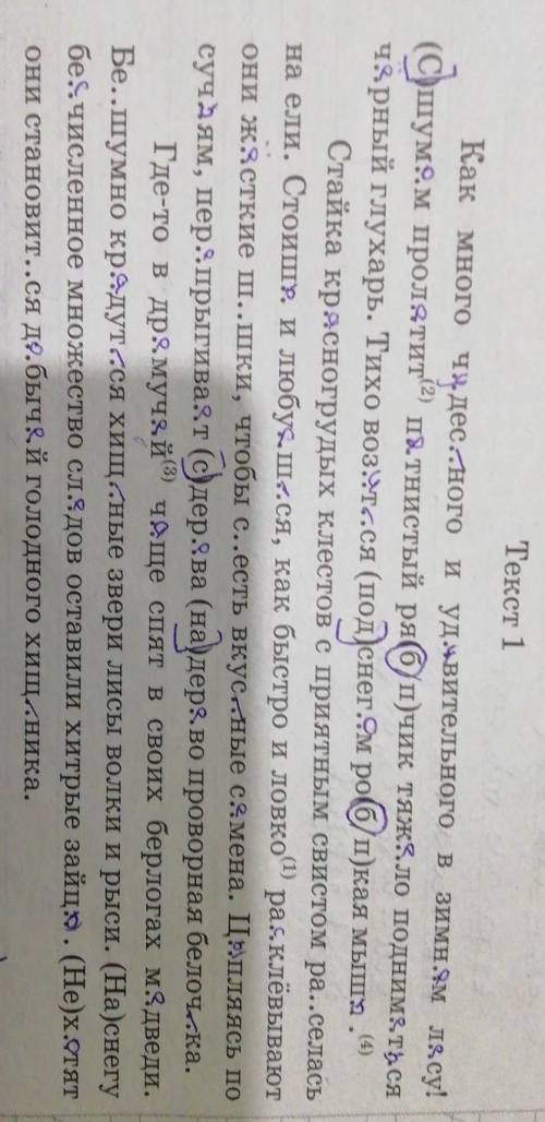 Перипишите текст, раскрывая скобки, вставляя, где это необходимо, пропущенные буквы и знаки препинан