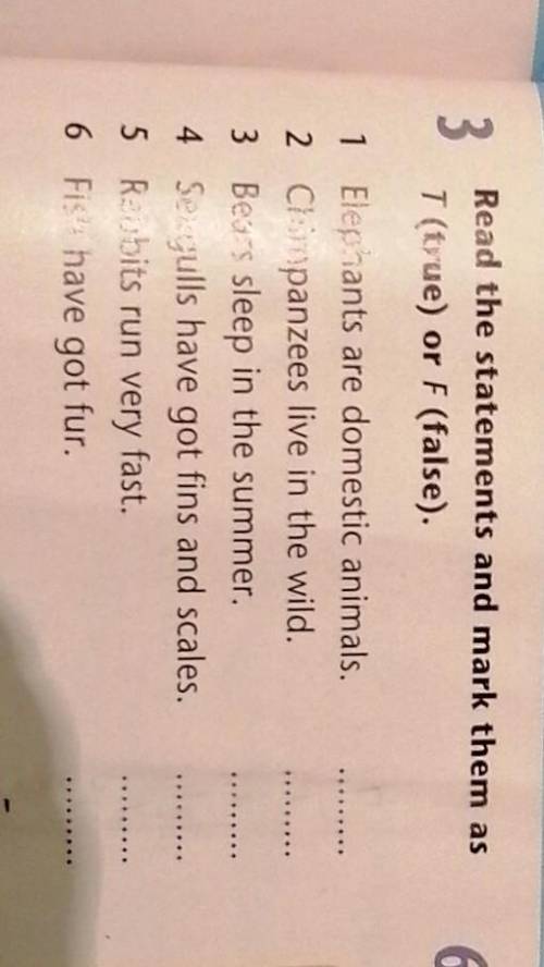 3 Read the statements and mark them asT (true) or F (false).1 Elephants are domestic animals.2 Chimp