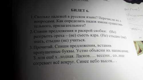 СКоко с можете решите но ЖЕЛАТЕЛЬНО ВСЁ:3