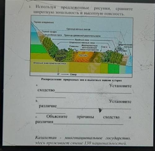 2. Используя предложенные рисунки, сравните широтную зональность и высотную поясность.ребят ​