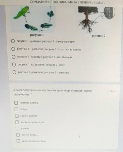 2.Выберите примеры органного уровня организации живых организмов. нервная клетказебраКорень деревакл