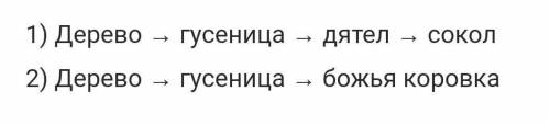 Напишите названия этих цепей питания (пастбищная или детритная) Напишите 2 названия для 2-х цепей. ​