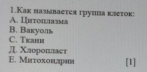 1.Как называется група клеток А. ЦитоплазмаВ. ВакуольС. ТканиД. ХлоропластЕ. Митохондрии[1]​