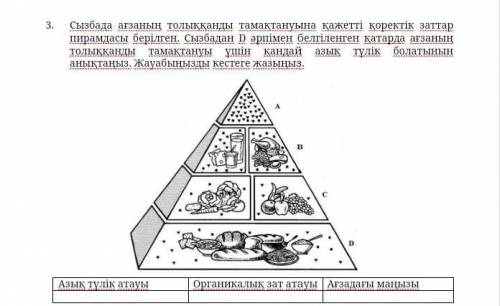 На схеме изображена пирамида полезных веществ, необходимых для полноценного питания организма. В стр