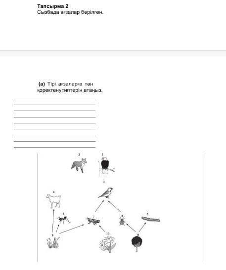 Тапсырма 2 Сызбада ағзалар берілген.(а) Тірі ағзаларға тән қоректену типтерін атаңыз.