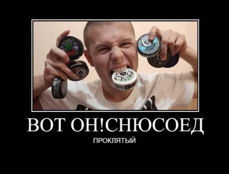 Как сделать снюс?это только ради науки честно