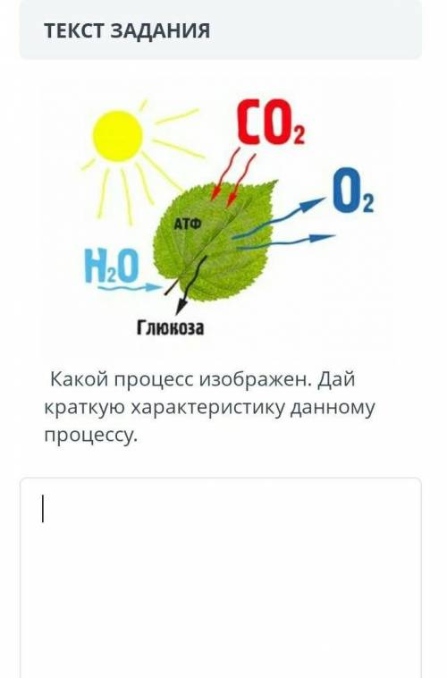 Какой процесс изображён Дай краткую характеристику данному процессу​