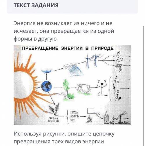 2. 1. На рисунке представлен световой микроскоп A)Под каким номером указан окуляр и объектив? Б) Нап