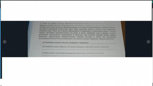 Сотни лет рыбаки поселка Минамата занимались промыслом рыбы, креветок, морского окуня и прочего На ф