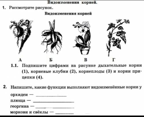 (смотрите часть 2 в профиле)Название часть 2​