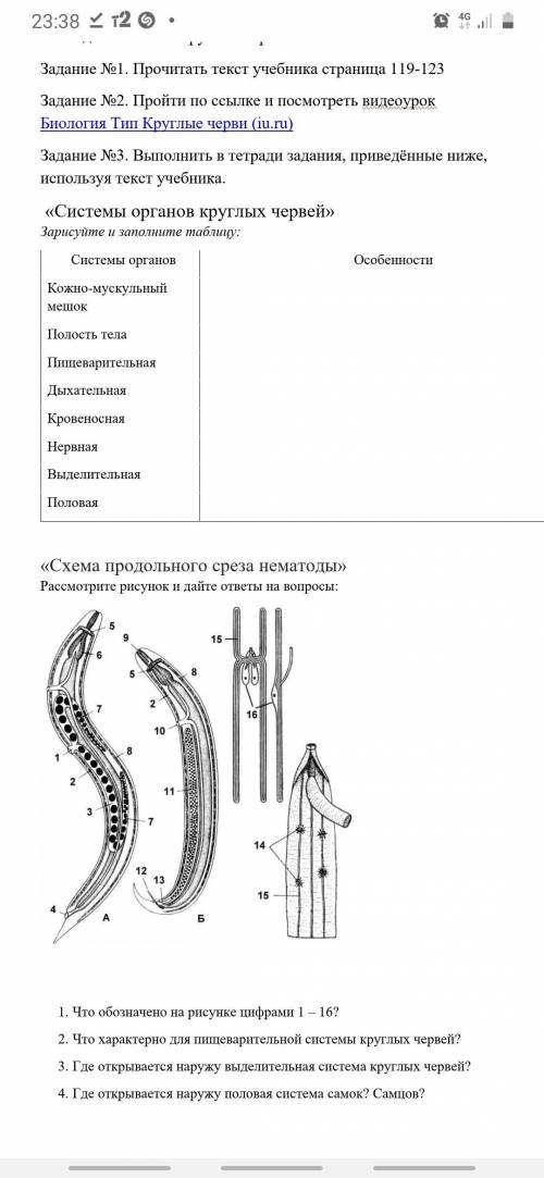 Нужно записать особенности системы органов круглых червей и сделать ниже задания 1-4