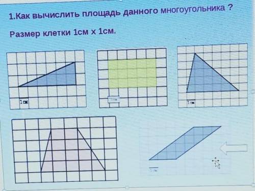 1.Как вычислить площадь данного многоугольника ?Размер клетки 1см х 1см.​