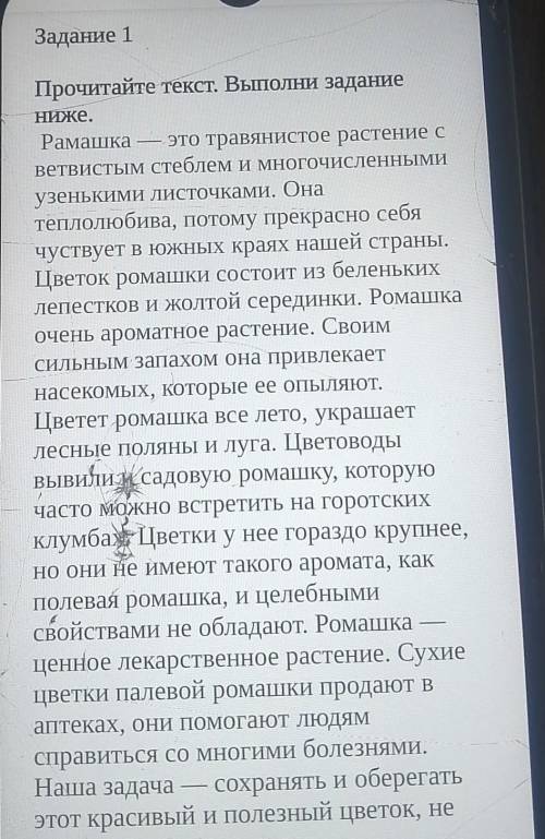 Чуствует в южных краях нашей страны. Цветок ромашки состоит из беленькихлепестков и жолтой серединки