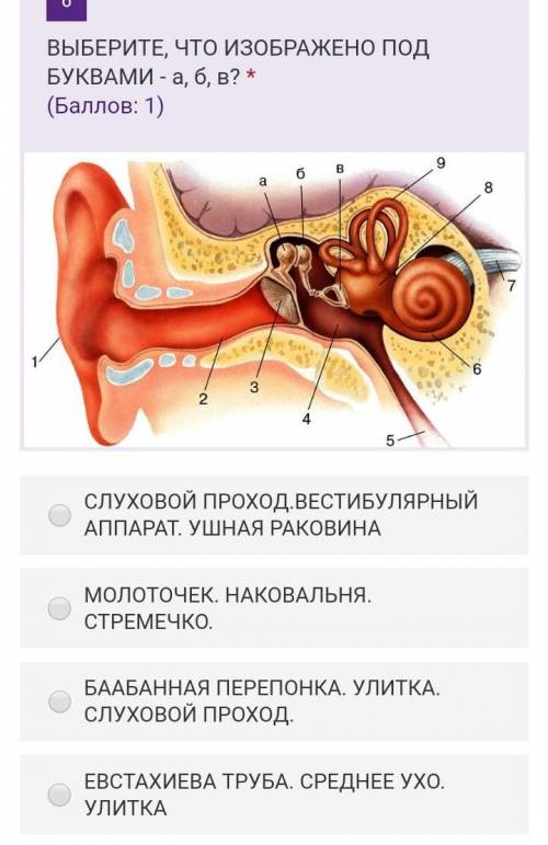 ТОЛЬКО ЧТОЬЫ ПРАВИЛЬНО БЫЛО.​