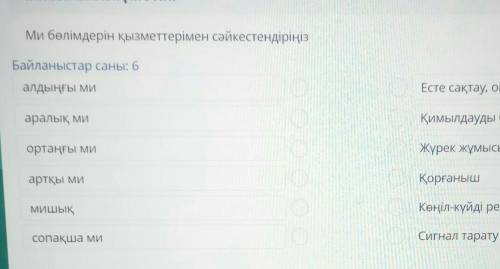 Ми бөлімдерін қызметтерімен сәйкестендіріңіз Байланыстар саны: 6Есте сақтау, ойлау, қиялдау, сөйлеуа