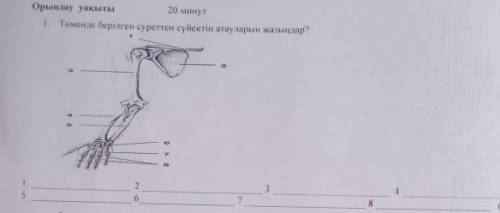 Нужно 8класс Сор Биология​