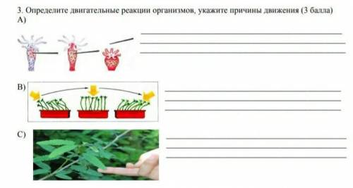 3. Определите запательные реакции организмов, укажите причины движения ( Б.CATEуру4. Западните табло