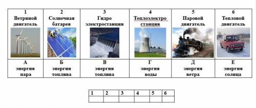 1.Определите органоиды растительной клетки под номерами 1,2,3,4,5,6. 2. Определи и объясни свойства