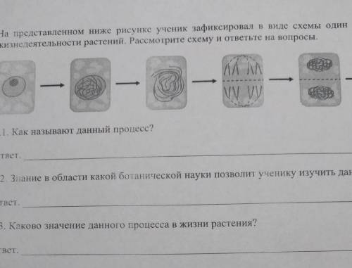 На представленном ниже рисунке ученик зафиксировал в виде схемы один из процессов жизнедеятельности