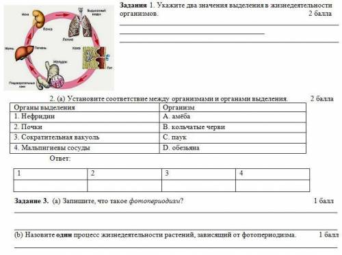 Задания 1. Укажите два значения выделения в жизнедеятельности организмов. 2. (а) Установите соот