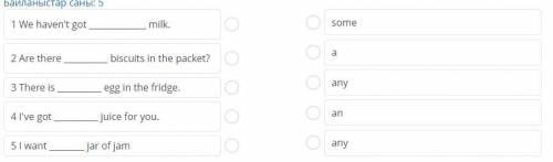 Task 3 read and write.use:some,any,a and an example:is there any chese and fridge?