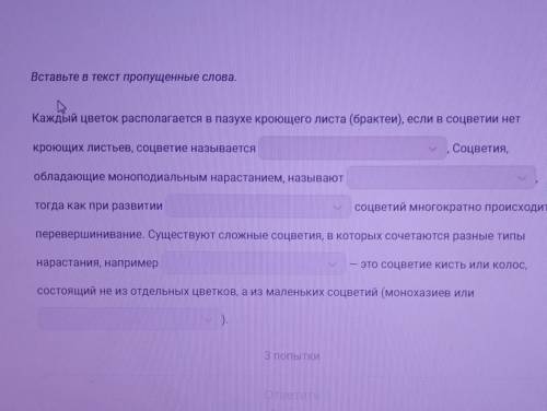 Я вас умоляю Кто знает я вас Просто умоляю человеческое Кто этого замуж выйду я вас умоляю ​