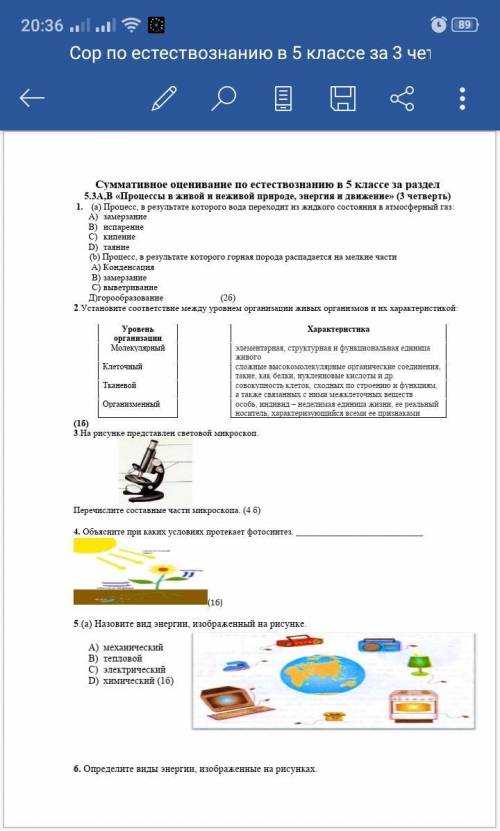 Добрый вечер подскажите как сделать сор по естествознания нужно пошаговая