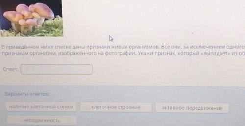 Последние там написано из общего ряда просто не поместилось ​