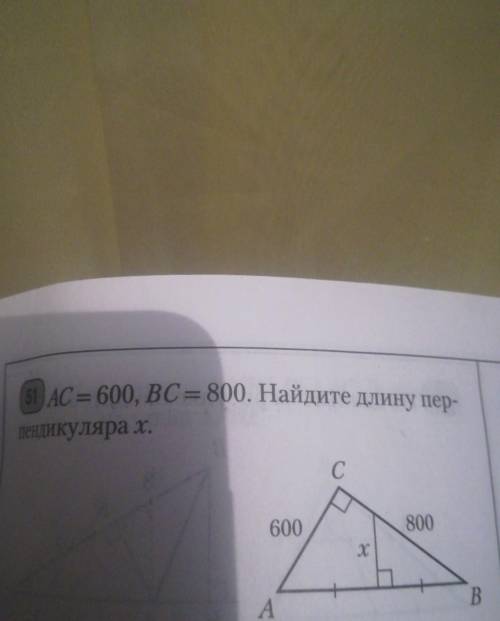 AC = 600, ВС = 800. Найдите длину пер-пендикуляра х.​