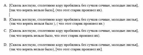 Найди на фотографии правильную схему предложения: Сквозь жесткую, столетнюю кору пробились без сучко