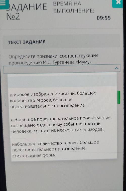 Определите признаки, соответствующие произведению И.С. Тургенева «Муму» у меня СОР даю 30б​