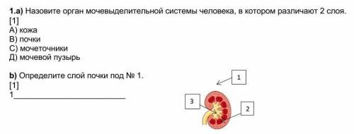 Биология СОЧответ...1. а)b)​