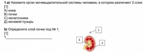 Биология СОЧответ..1.а)b)​