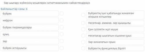 Зар шыгару жуйесинин мушелерин сипаттамасымен сайкестендириниз