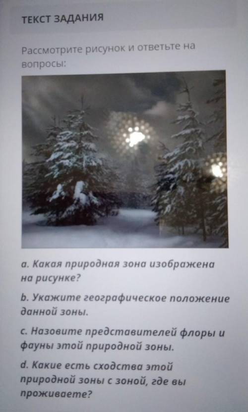 Рассмотрите рисунок ответьте на вопросы Какая природная зона изображена на рисунке Укажите географич