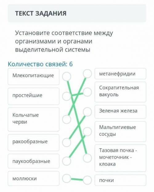 Установите соответствие между организмами и органами выдилительной системы​