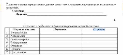 Опишите строение и функции нервной системы