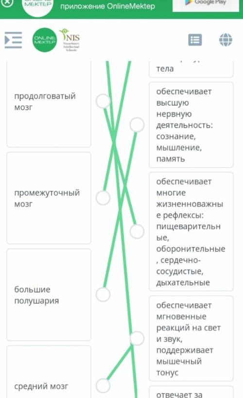 Апределите какие типы неверной системы изображены на картинке ​