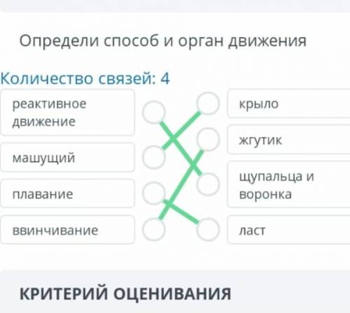 Апределите какие типы неверной системы изображены на картинке ​