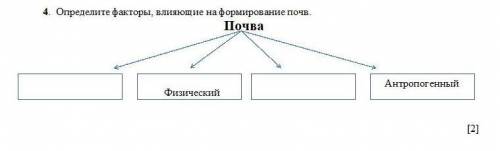 4. Определите факторы, влияющие на формирование почв.