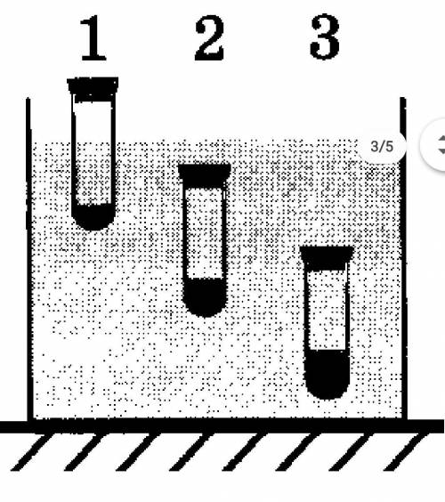 В сосуд с водой опущены три одинаковые пробирки с жидкостью. Первая пробирка движется вверх, вторая